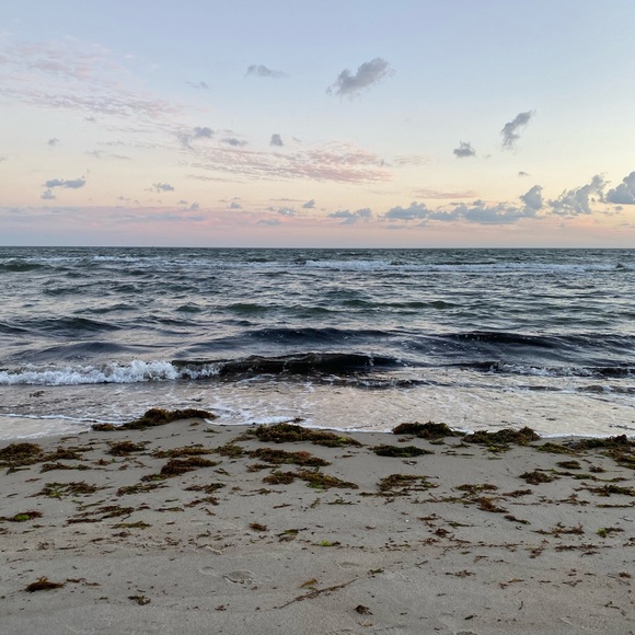 Meet your Posher, Paula - Picture 1 of 1